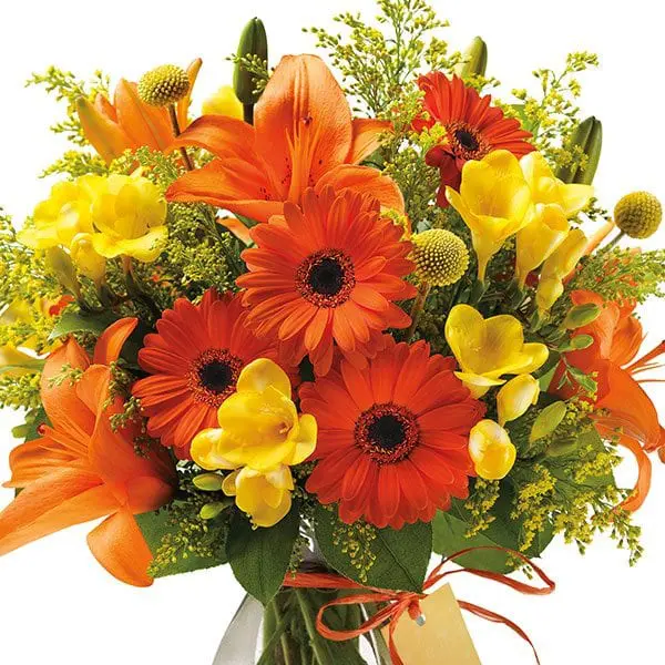 Flower Gifts